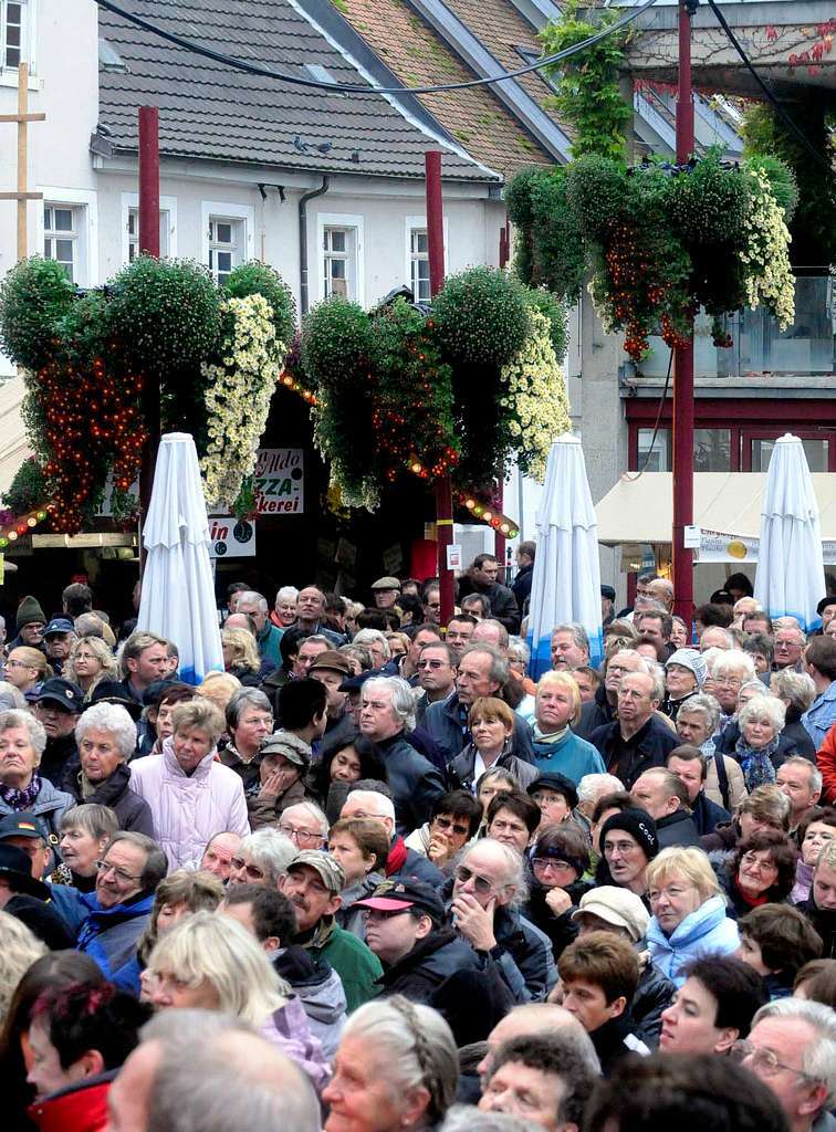 Impressionen von der Chrysanthema