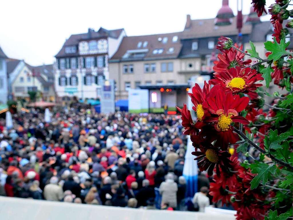 Impressionen von der Chrysanthema