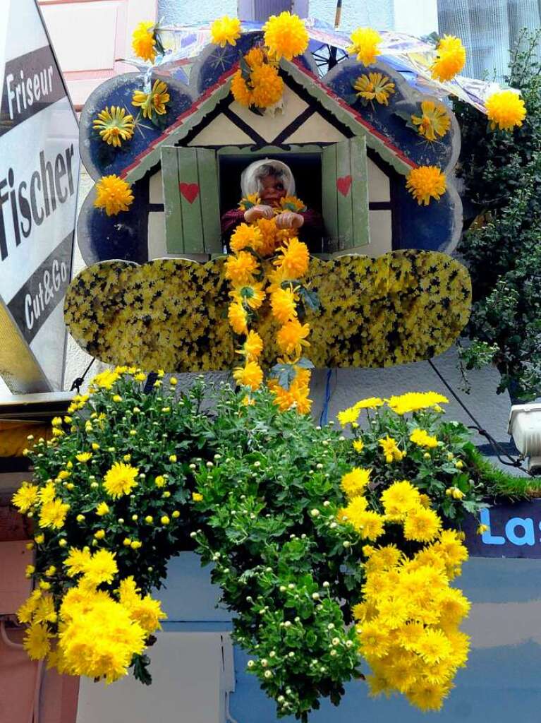 Impressionen von der Chrysanthema