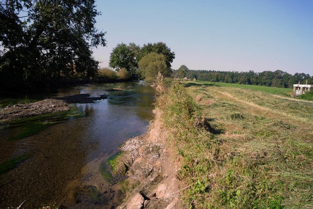 Ein Reservoir fr kopunkte: Die Alte Elz in Rust.  | Foto: LANDRATSAMT