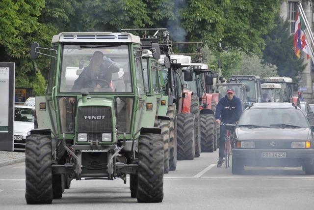 Milchbauern fahren im Konvoi nach Straßburg