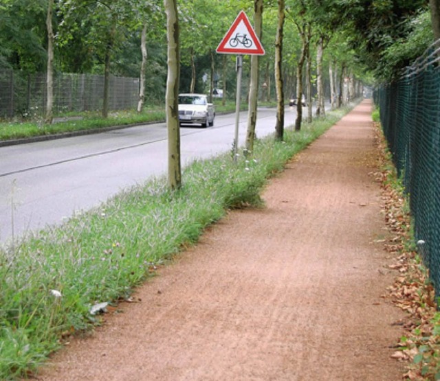 Auch der Radweg auf der Westseite der ...t nun so eine  wassergebundene Decke.   | Foto: Frey