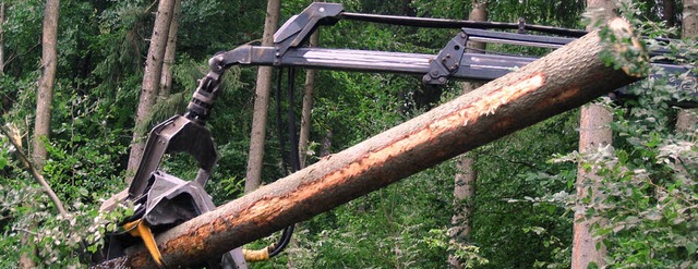 Der Todtnauer Wald und das Gewerbe bes...rfreuliche Meheinnahmen im Jahr 2010.   | Foto: Hermann Jacob