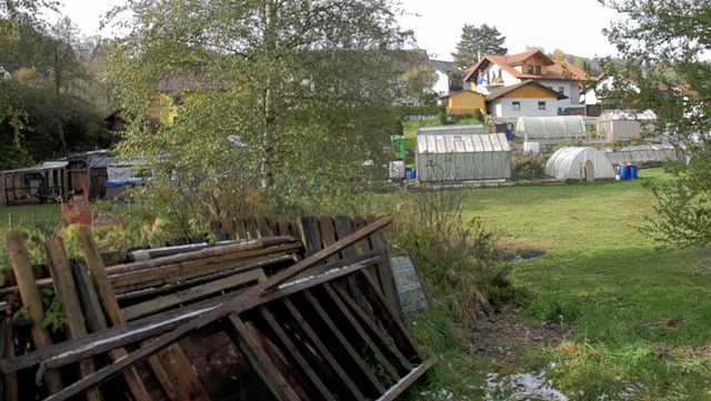 Gewchshuser am Herrgottsbchle stren die Nachbarn  | Foto: Ralf MOrys