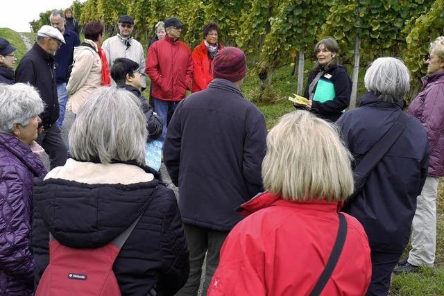 Wein als geistige Nahrung