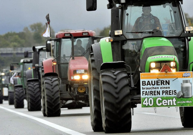 Auf dem Weg zum Europaparlament &#8211; Traktorenkolonne nahe Kehl  | Foto: dpa