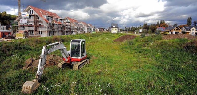 Ins Gras beien muss noch so mancher B... Beinahe-Baustopp scheint berwunden.   | Foto: Kunz