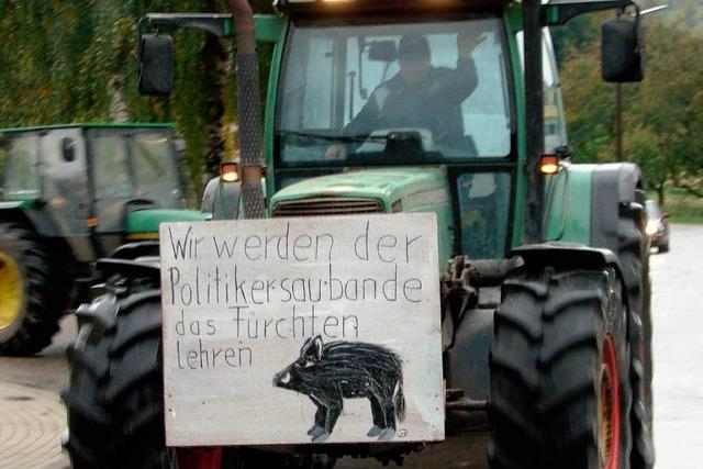 Fotos: Wlder Bauern bei der Milch-Demo