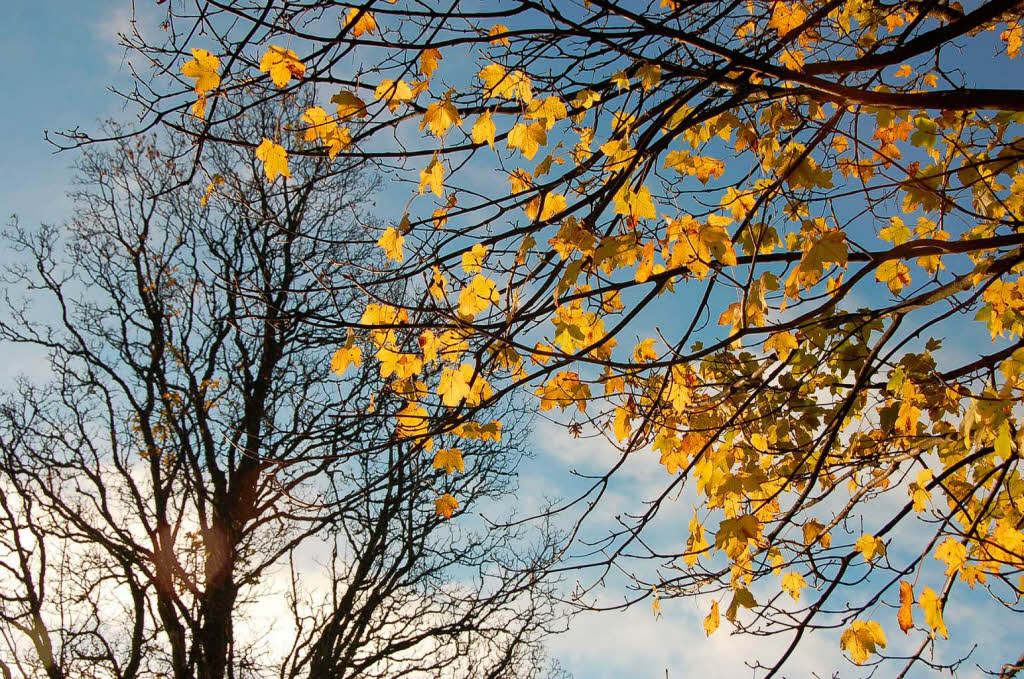 In und um St. Blasien: Der Herbst von seiner schnen Seite