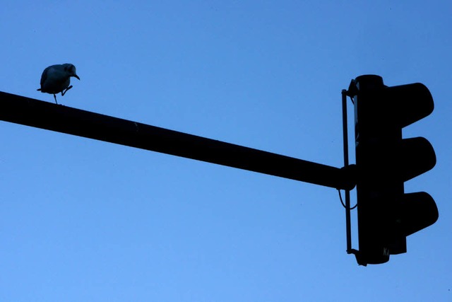 Durch die Sonne geblendet bersehen Autofahrer immer wieder rote Ampeln.  | Foto: dpa