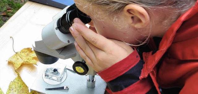 Was ist das fr ein Tier? Leonie untersucht am Mikroskop alles ganz genau.   | Foto: Privat
