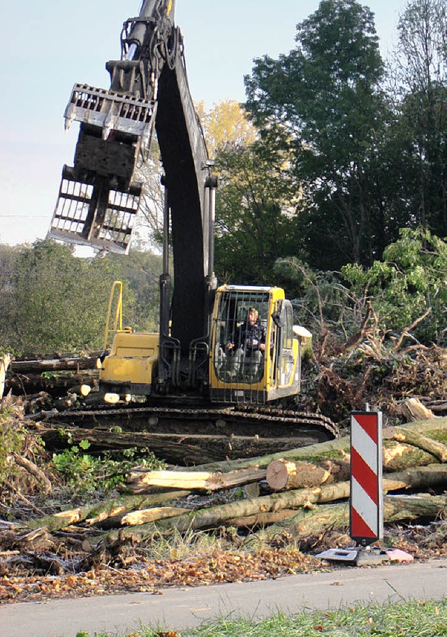 An der L 137 wurde fr den Bahnbau gerodet.   | Foto: Langelott