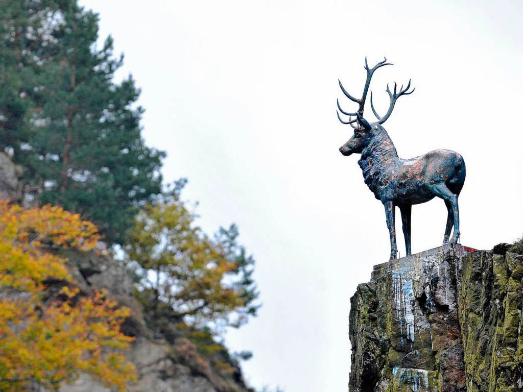 Der Hirsch kehrt an den Hirschsprung am Eingang des Hllentals zurck.