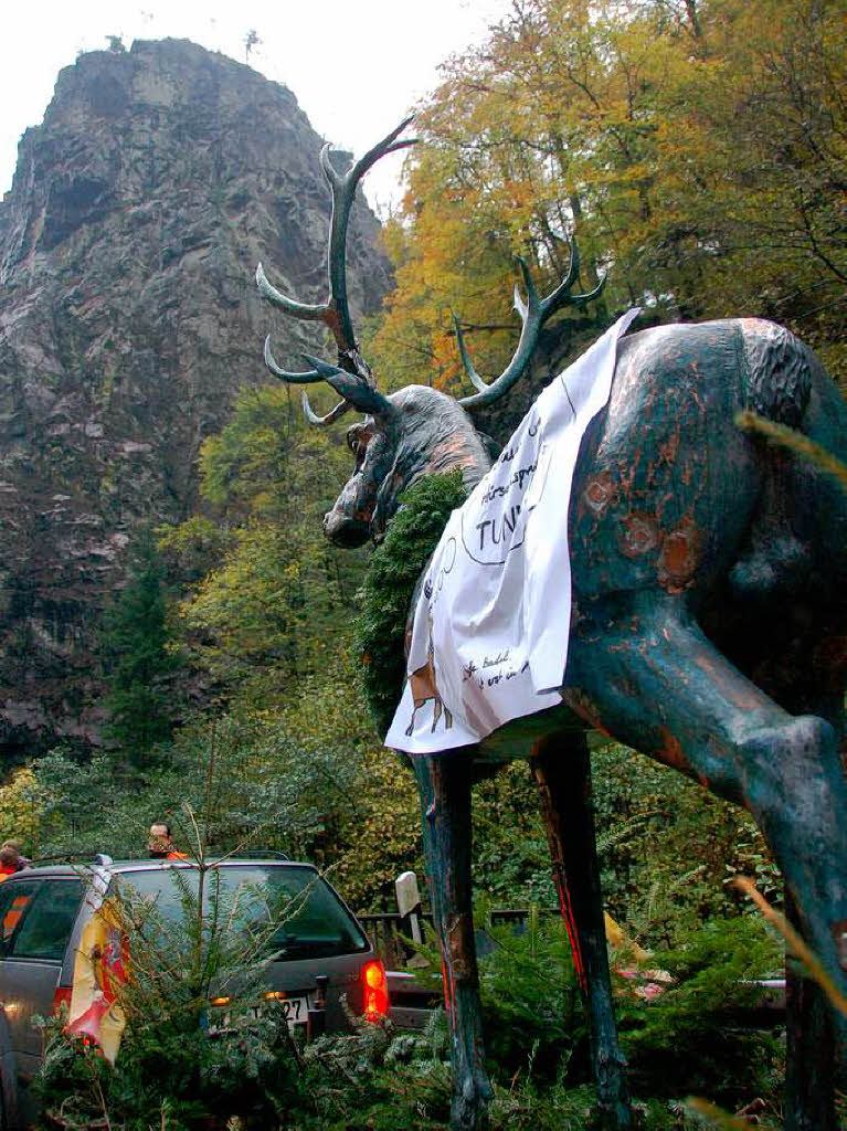 Der Hirsch kehrt an den Hirschsprung am Eingang des Hllentals zurck.