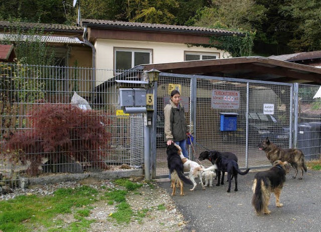 Tierheim Hauingen mit der Leiterin Carola Kunze   | Foto: Paul Schleer