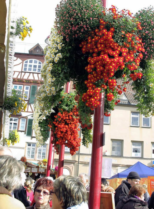 Bunte Chrysanthemen auf dem Marktplatz   | Foto: Heidi Fssel