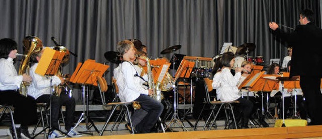 Beim Doppelkonzert von Vorstufen-  (Bi...bei der Musikerausbildung aufmerksam.   | Foto: norbert sedlak