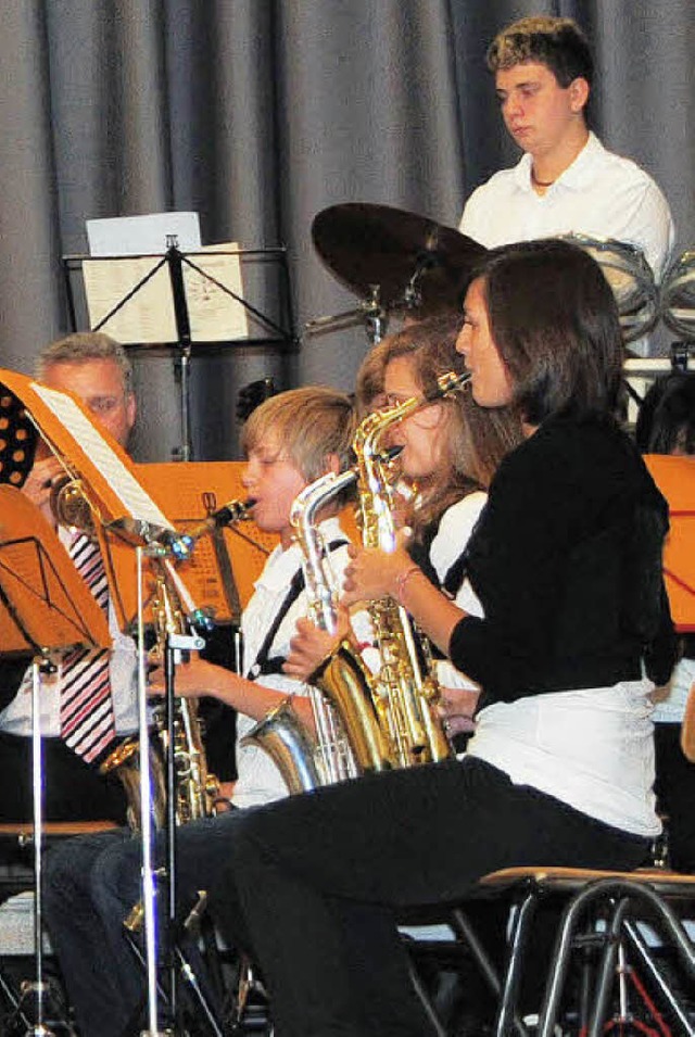 Konzentriert waren die jungen Musikerinnen und Musiker bei der Sache.   | Foto: SEDLAK