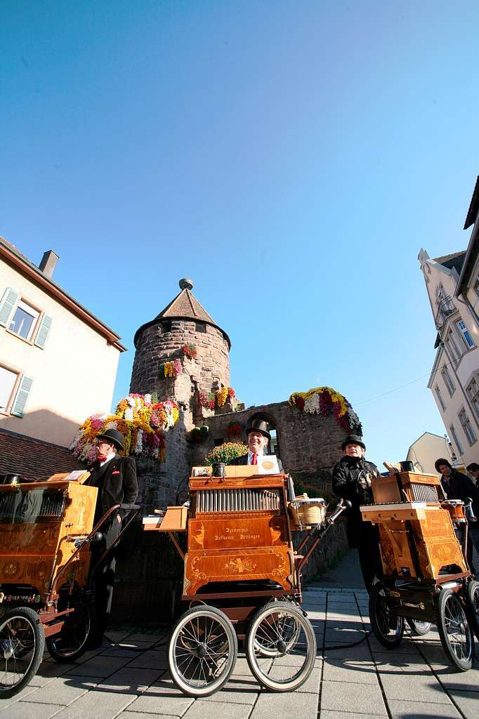 Impressionen von der Chrysanthema in Lahr.