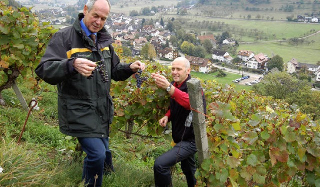 Trauben fr den Minister: Rudolf  Kbe...der Glottertler Winzergenossenschaft   | Foto: Ringwald