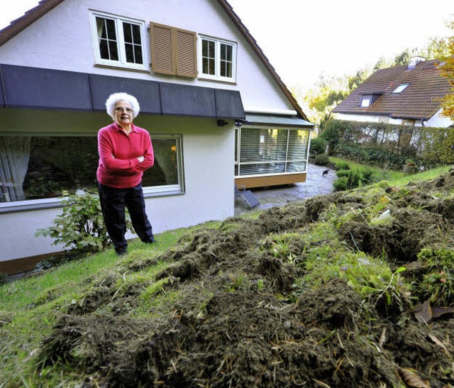 Wildschweine haben  Elfriede Bhnes Garten umgegraben  | Foto: Bamberger