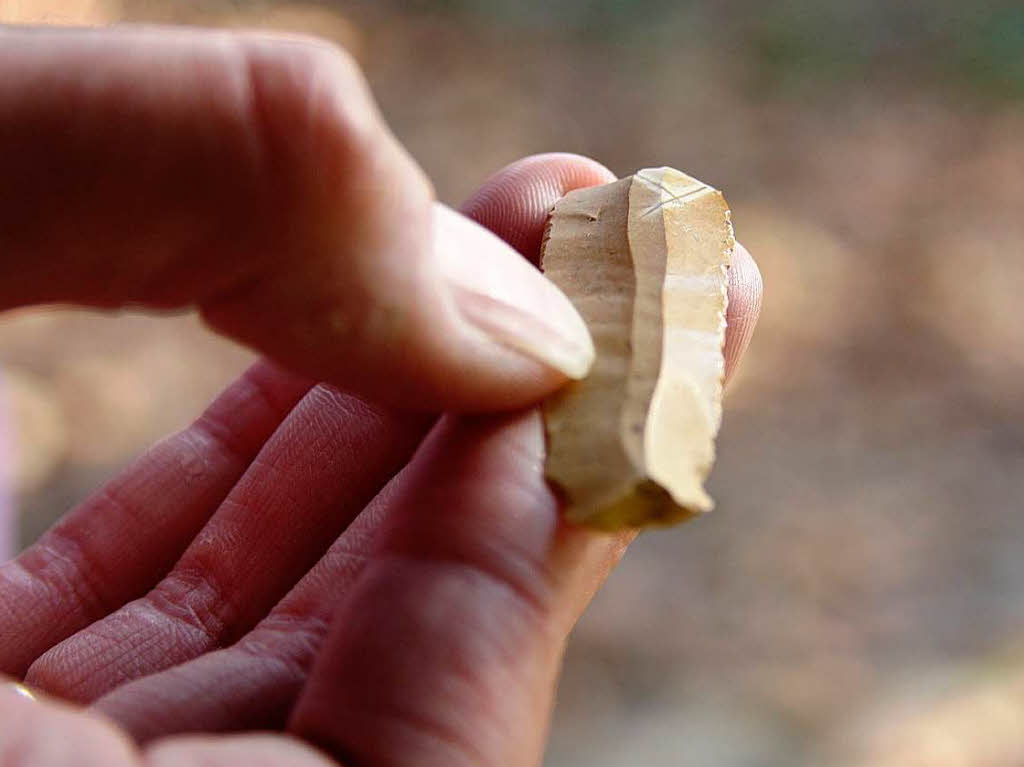 Verschiedene Messerklingen aus Feuerstein, die auch  heute noch scharf wie Rasierklingen sind. Ca. 5000 v.Chr.