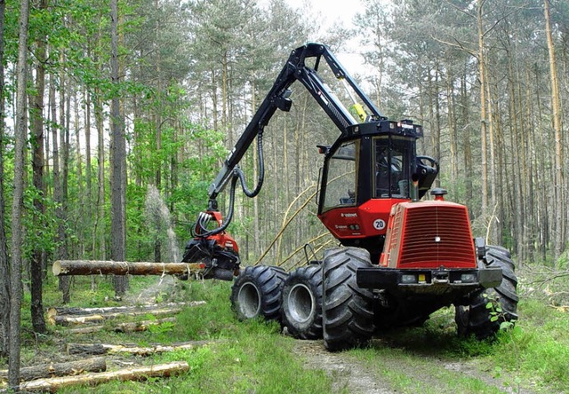 Der Wald verschafft Oberried willkommene Einnahmen.   | Foto: dpa