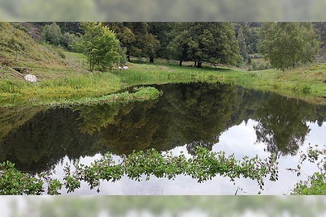 Ein wunderschner Ort zum Verweilen fr Wanderer