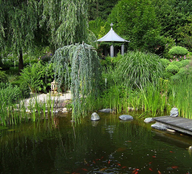 Oase fr Mensch und Tier:selbst angelegte Idylle im Garten   | Foto: BGL/TMN