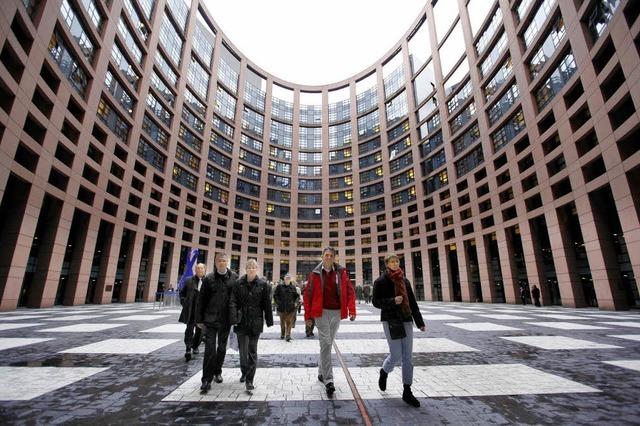 FDP-Stadtverband besucht Europaparlament