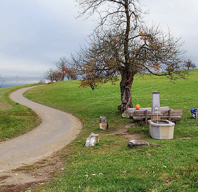 Der Mgdebrunnen wird neu gestaltet.   | Foto: Petra Mller