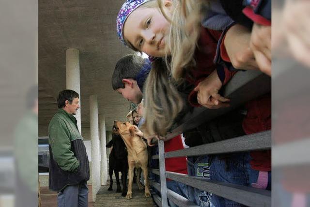 Kinder besuchen Blindenhundeschule