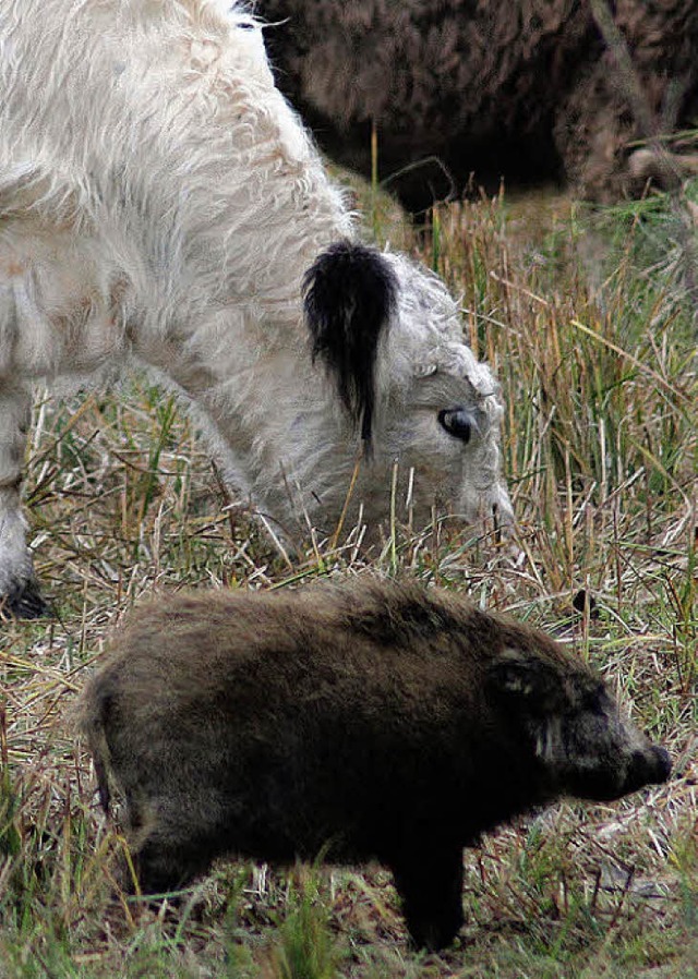 Freddy und seine neue Familie  | Foto: dpa