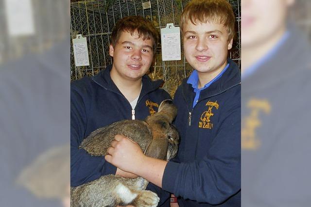 Die Zeller Zchter wissen, wie der Hase luft