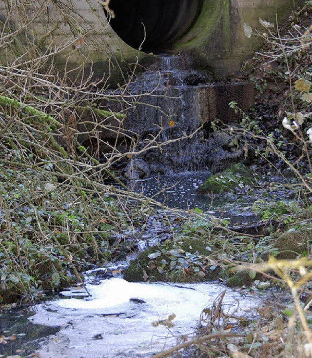 Silagesickersaft aus einer Biogasanlag...te fr die Verunreinigung des Wassers.  | Foto: Juliane Khnemund