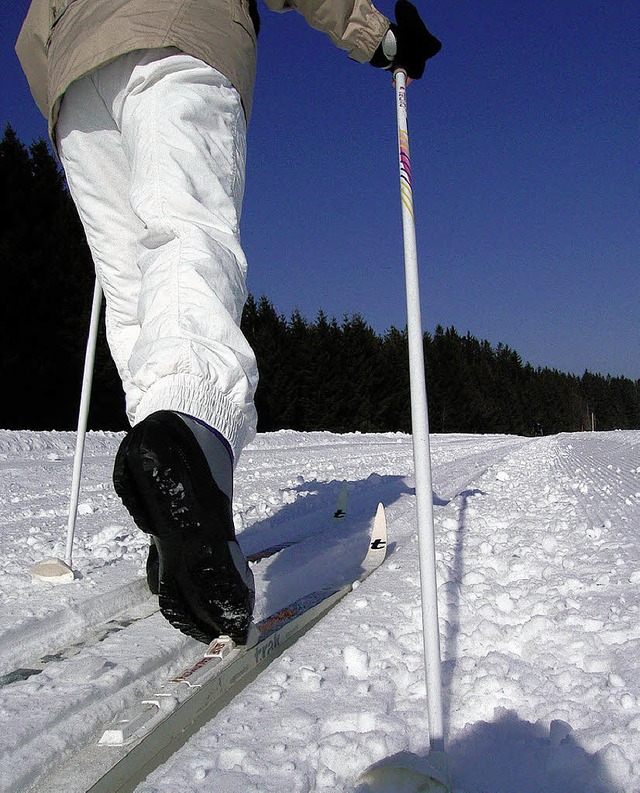 Auf der Thurnerspur sind Skilanglufer im Winter gut unterwegs.   | Foto: Franz Dannecker