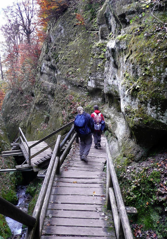 Auf Stufen und Stegen geht es zum Bodensee hinunter.   | Foto: Rolf Mller