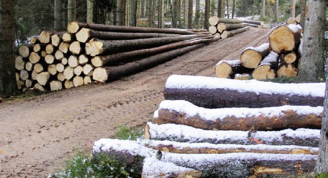 Holzeinschlag im Klostermattenweg trgt zum guten Ergebnis im Gemeindewald bei.   | Foto: Liane Schilling