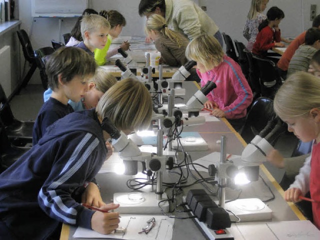 Zusammen mit dem Trinationalen Umweltz...as &#8222;Grne Klassenzimmer&#8220;.   | Foto: Britta Wieschenkmper