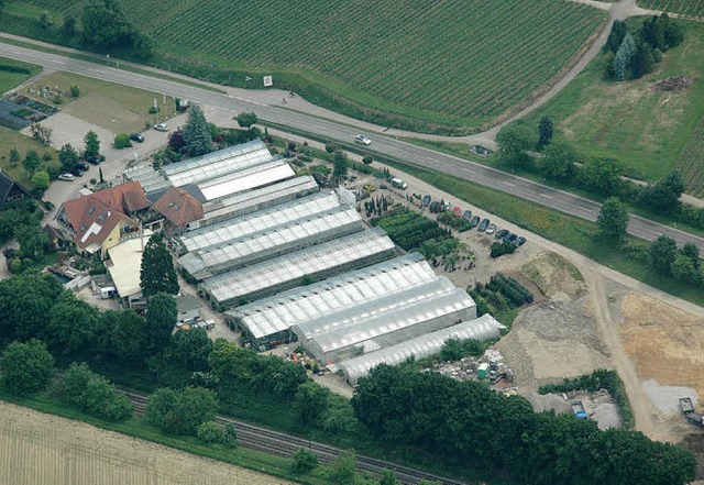 Die Grtnerei Mller am sdlichen Orts...llstadt: Der Betrieb wird vergrert.   | Foto: BZ-ARCHIV/Brigitte Sasse