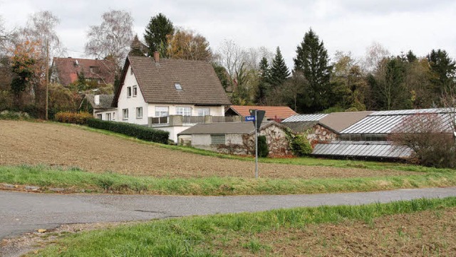 Aus der frheren Blumen- und Zierpflan... Ortsetter Mengens einbezogen werden.   | Foto: Silvia Faller