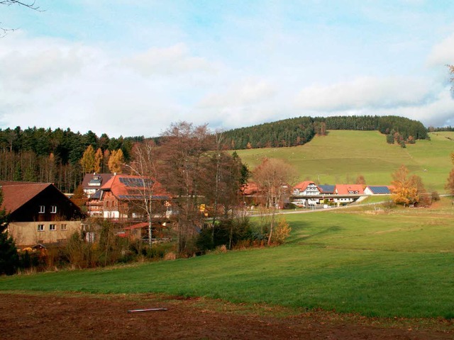 Die Doldenmatten sind als Standort-Alt... spalten erneut die Meinungen im Dorf.  | Foto: Irina Strohecker