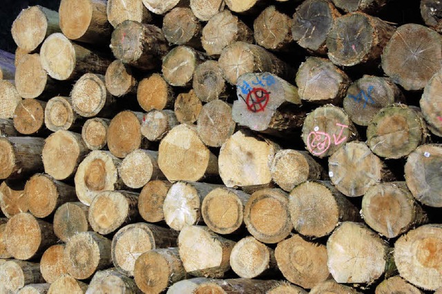 Holz &#8211; auch fr die Gemeinde Ebringen ein wertvoller Rohstoff.   | Foto: Tanja Bury