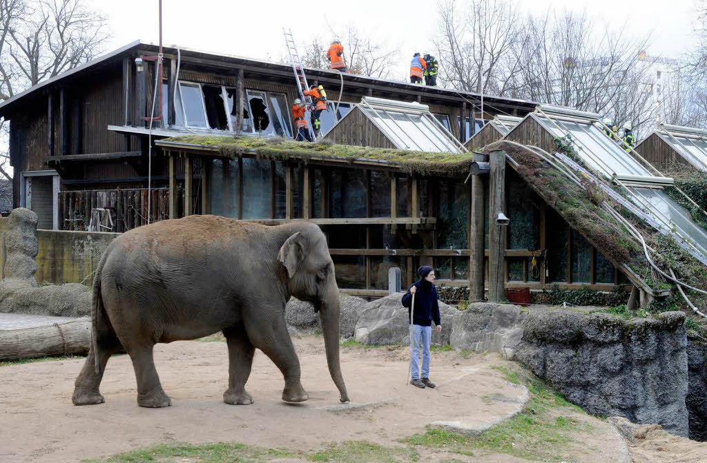 Brand im Karlsruher Zoo. Brand im Karlsruher Zoo.