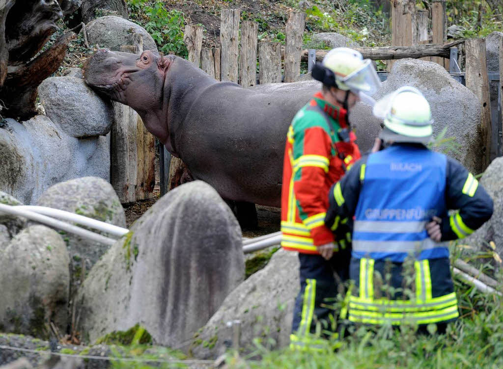 Brand im Karlsruher Zoo. Brand im Karlsruher Zoo.