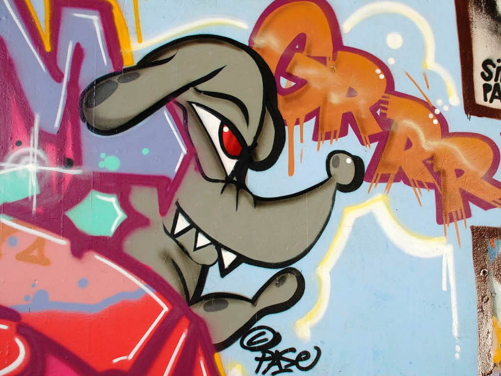 Jeden Tag fahren Tausende daran vorbei, doch kaum jemand nimmt von den Graffitis an der B31 in Freiburg Notiz.
