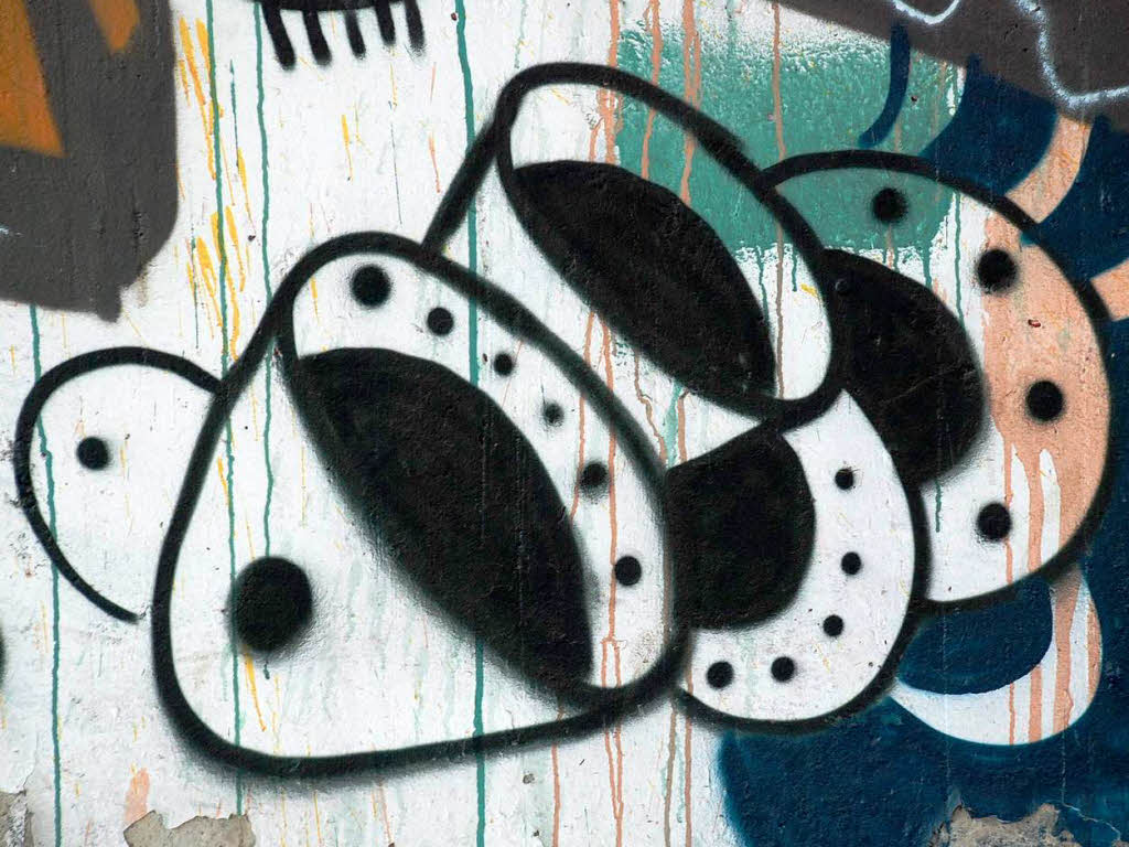 Jeden Tag fahren Tausende daran vorbei, doch kaum jemand nimmt von den Graffitis an der B31 in Freiburg Notiz.