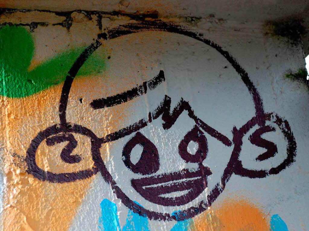 Jeden Tag fahren Tausende daran vorbei, doch kaum jemand nimmt von den Graffitis an der B31 in Freiburg Notiz.