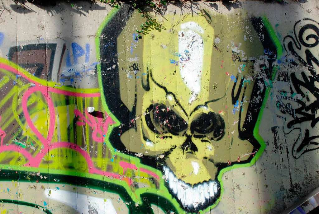 Jeden Tag fahren Tausende daran vorbei, doch kaum jemand nimmt von den Graffitis an der B31 in Freiburg Notiz.