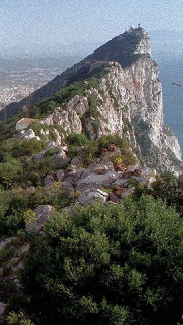 Gibraltar &#8211; ein beis-pielhaft s-pitzer S-tein   | Foto: dpa